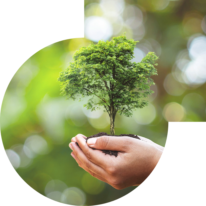 關懷人類、文化、環境與社會